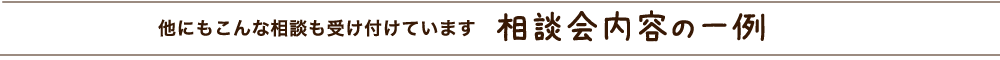 相談会内容の一例